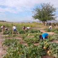 Granja_Tia_Nora_Educativa
