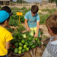 Granja_Tia_Nora_Educativa