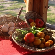 Granja_Tia_Nora_Productos
