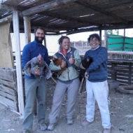 granja_tia_nora_voluntarios04