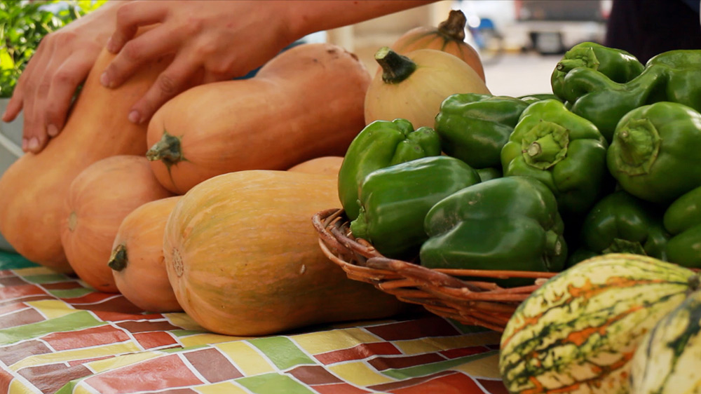 Feria_de_la_huerta_organica_San_Juan2