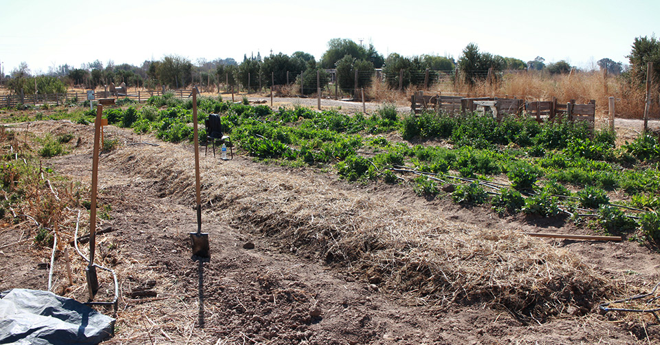 granja_tia_nora_bancal_profundo1