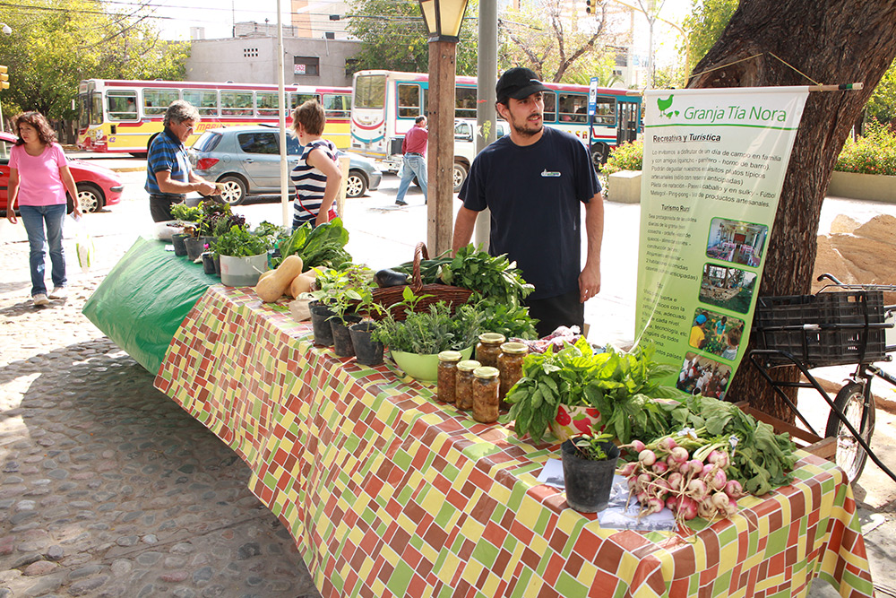 granja_tia_nora_feria_huerta_organica_san_juan