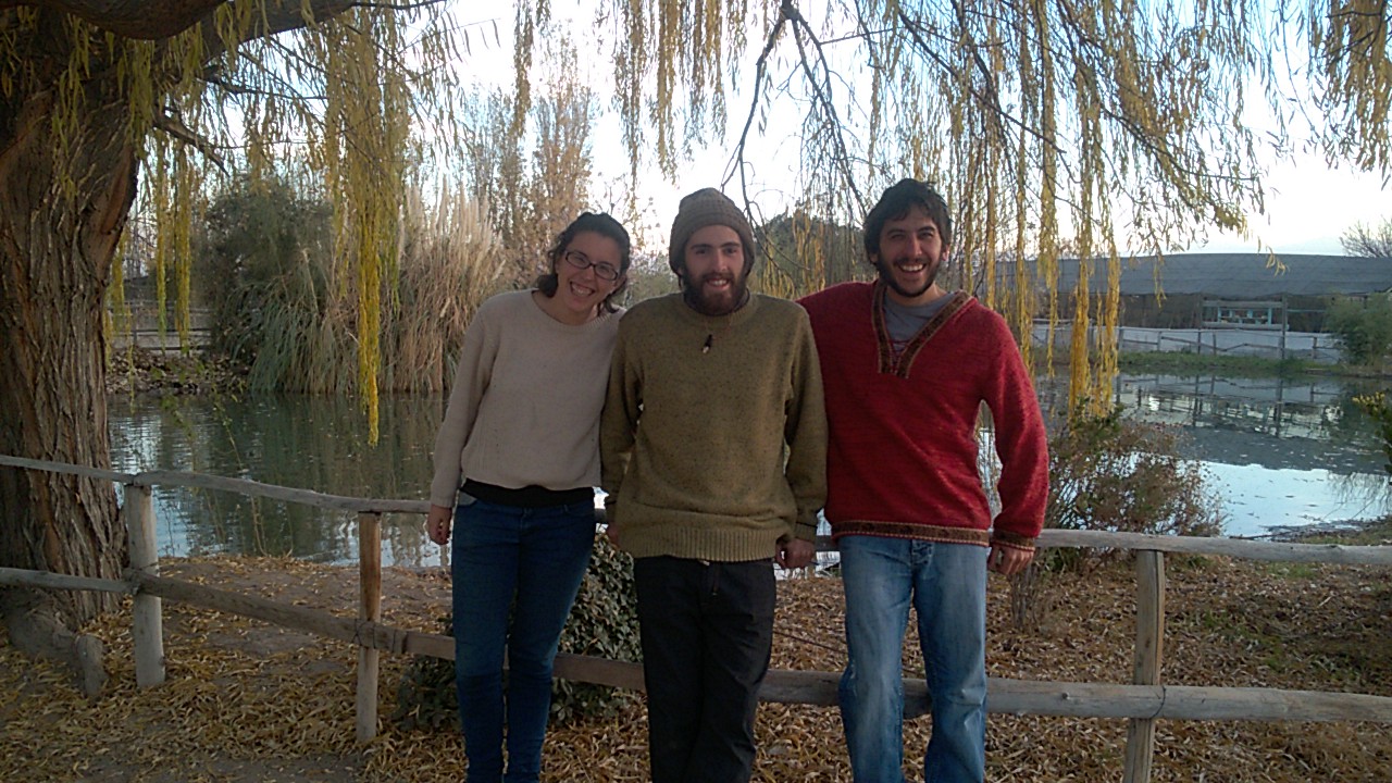 voluntariado en argentina